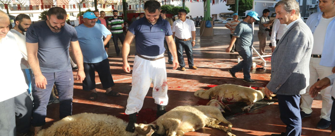 Ba�kan Tahmazo�lu, Kurban Kesim Yerlerini Gezdi