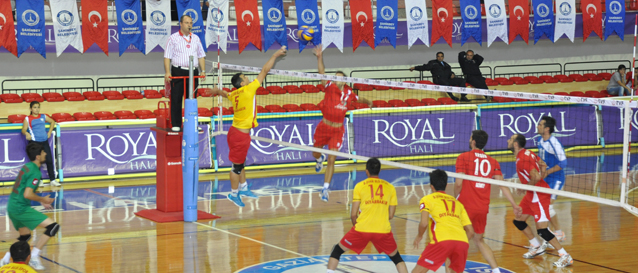 ahinbeyli Filenin ahinleri Seri Peinde