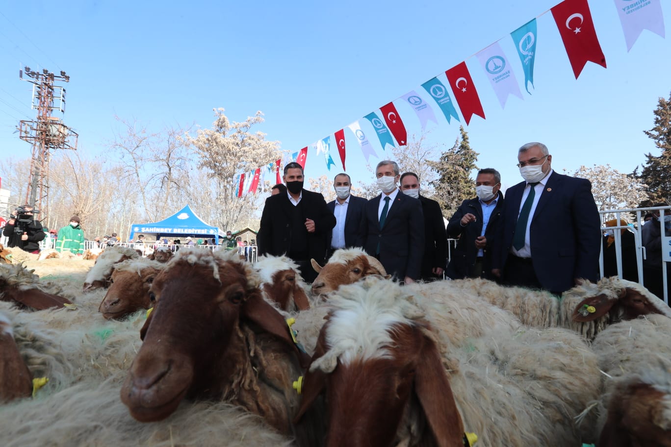 Hayvan Yetitiricilerinin Yz Belediyemiz le Glyor