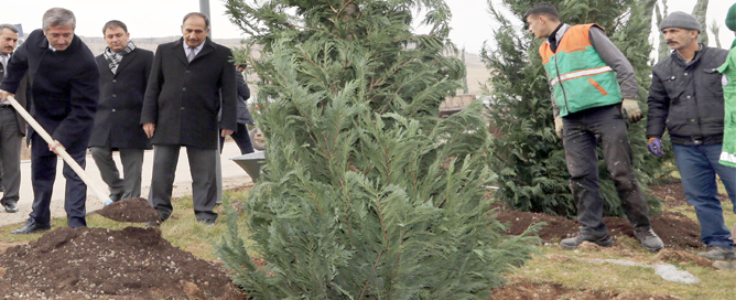 T�rkiye�nin En B�y�k Park��na Yeni A�a�lar Dikliyor