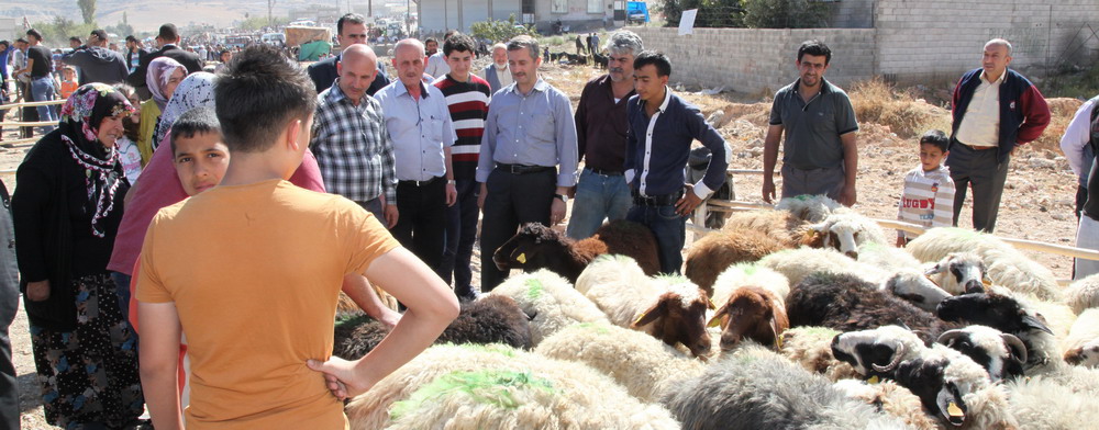 Bakan Tahmazolu, Kurban Sat Yerlerini Ziyaret Etti