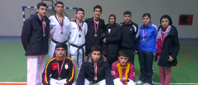 Tekvandoda ahinbey Belediye Genlik Spor Rzgar Esti