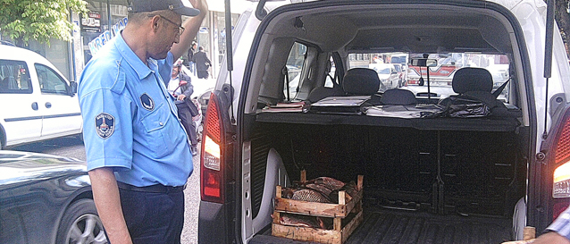 �ahinbey Belediyesi Zab�ta Ekipleri Denetimlere Devam Ediyor