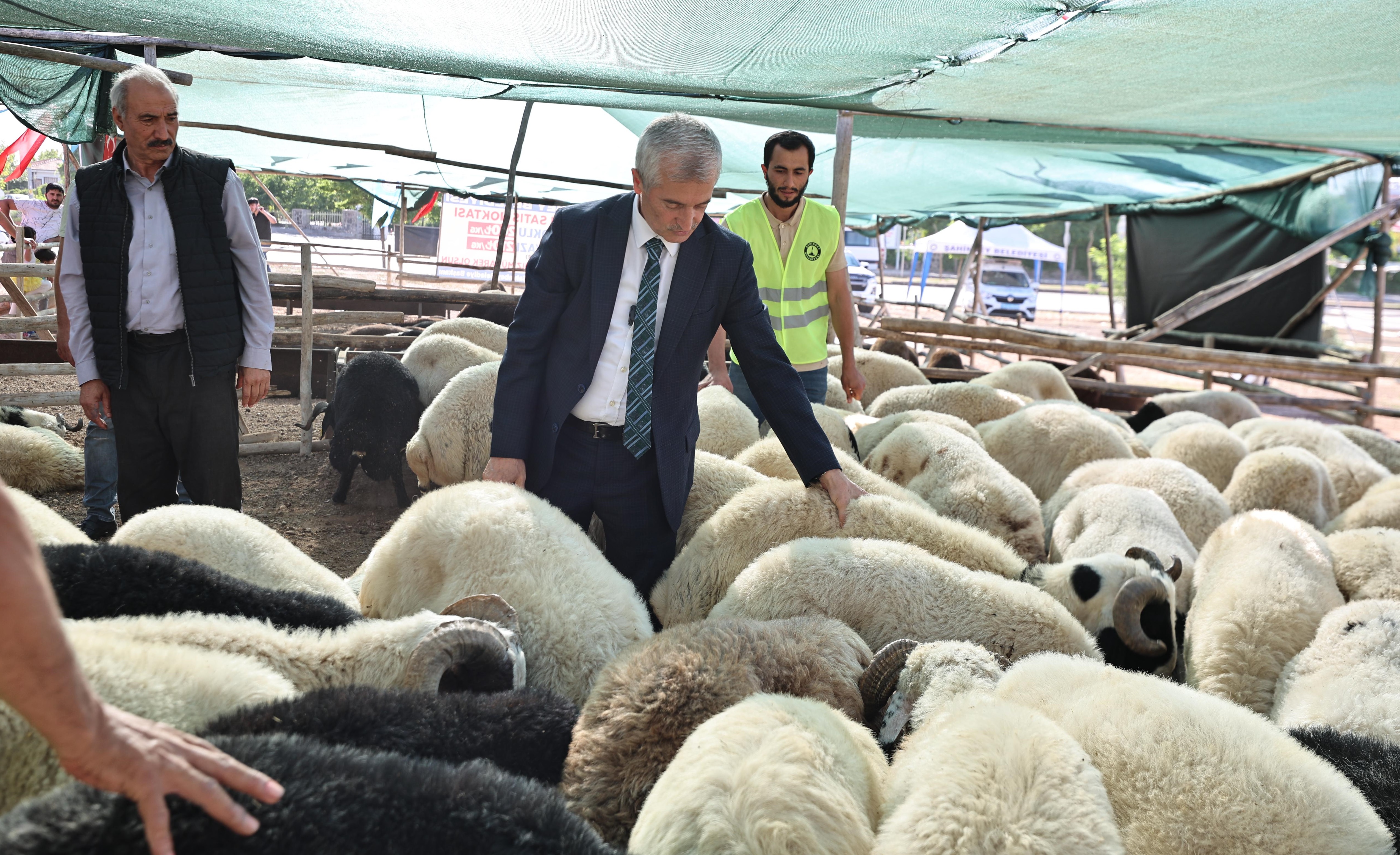 Bakanmz Kurban Fiyatlarn Aklad