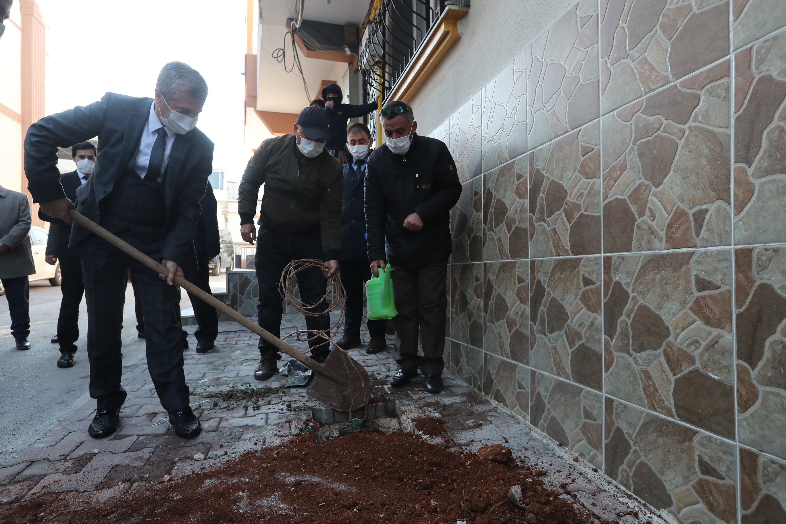 Daha Yeil Bir ahinbey in 5.000 Asma