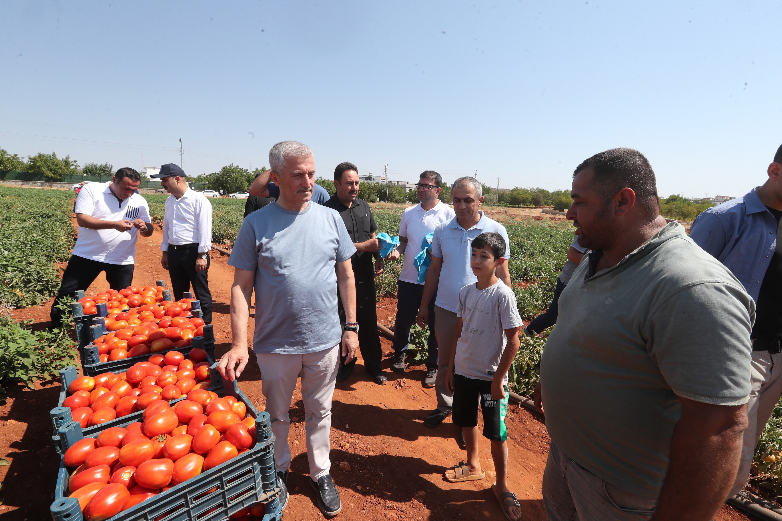 Bakanmz iftilerle Tarlada Domates, Biber Toplad