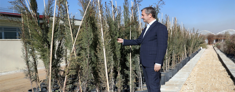 Daha Ye�il Bir �ahinbey ��in