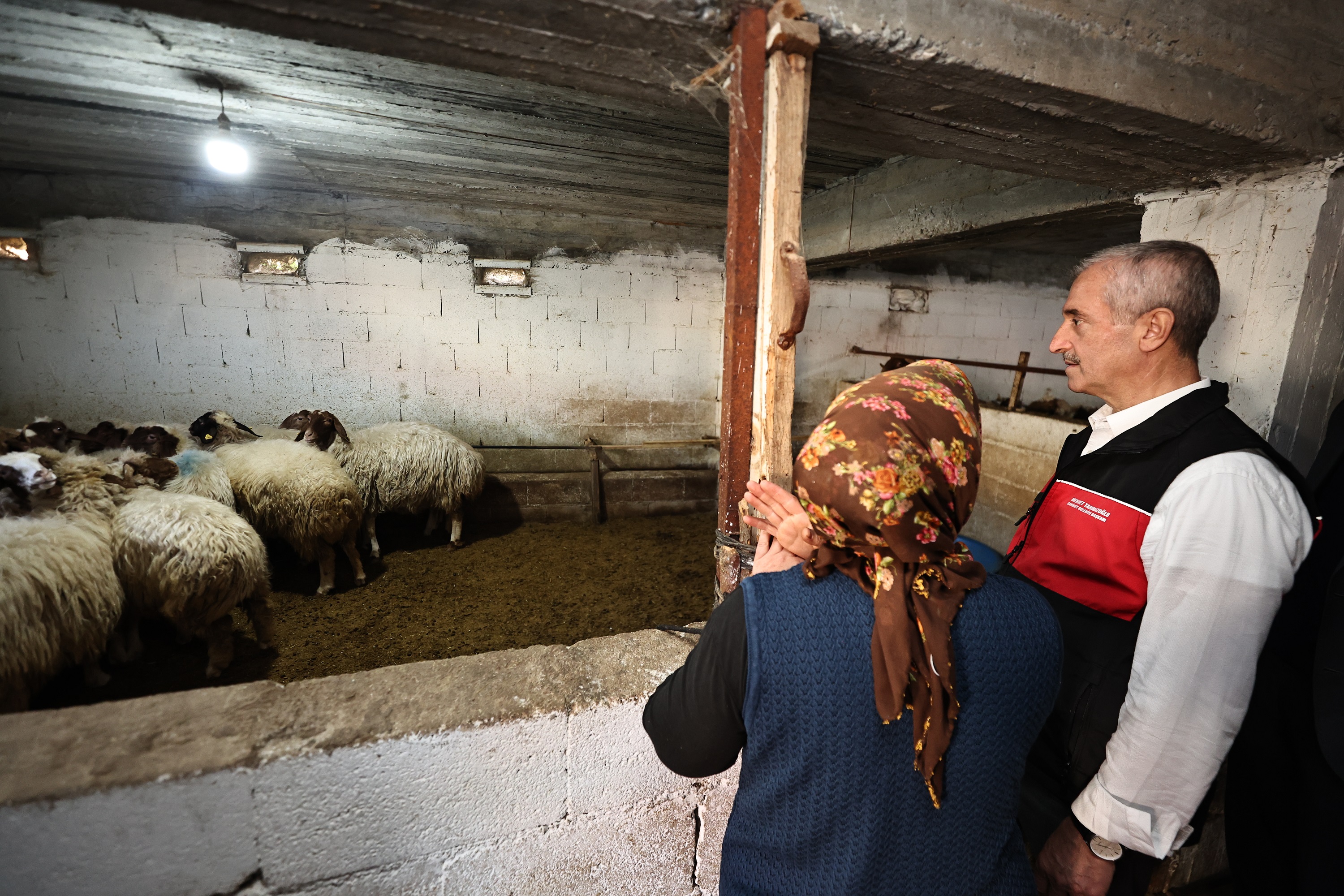 Bakanmz "Hayvancla Desteimiz Srecek"