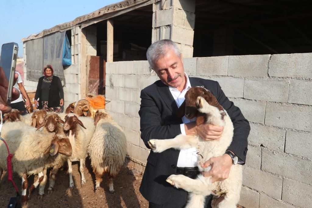 Belediyemizin Destekleri le Hayvan Yetitiricilii Artt