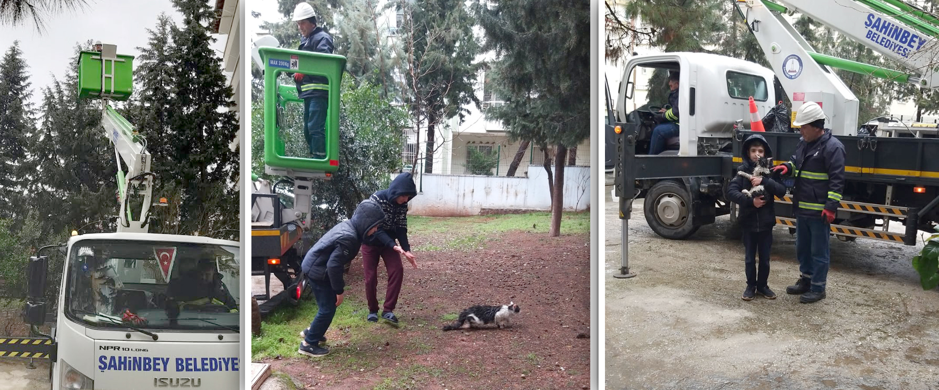 Ekiplerimizden Kedi Kurtarma Operasyonu