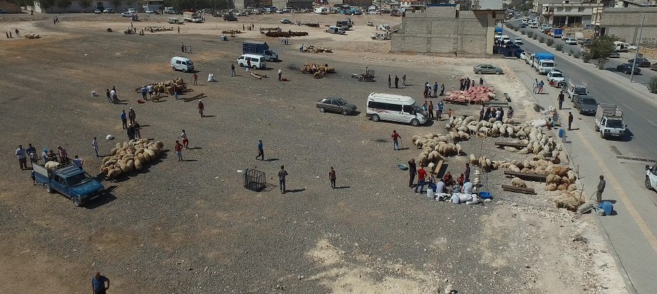 Kurban Sat�� Ve Kesim Yerleri Belirlendi