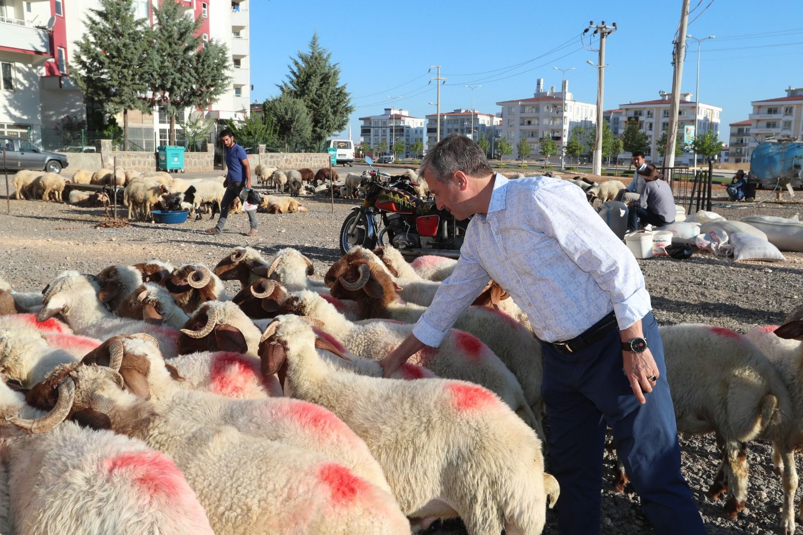 ahinbeyde Kurban Sat ve Kesim Yerleri Belirlendi