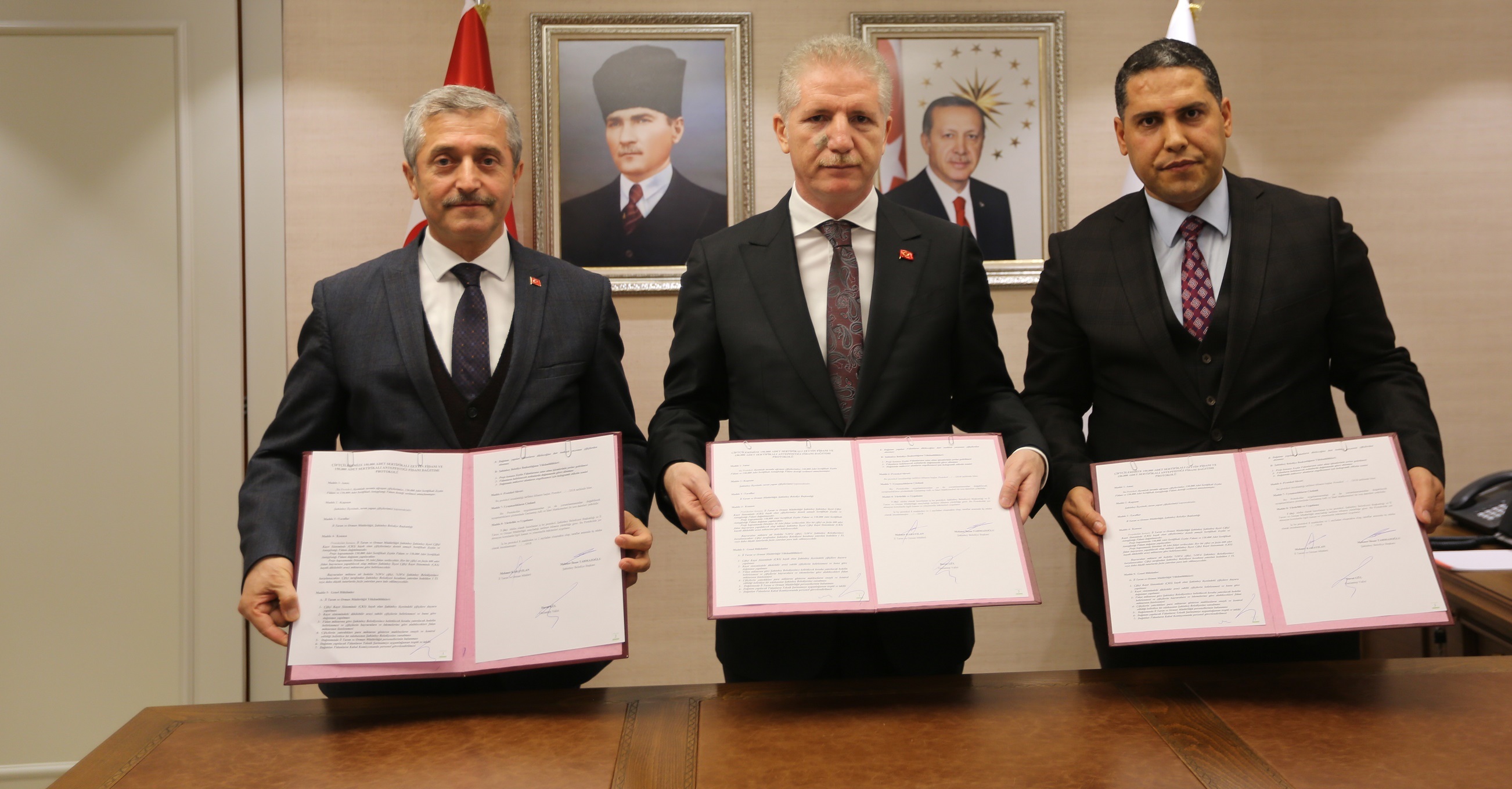 300.000 Adet Daha Zeytin ve Fstk Fidan Datacaz