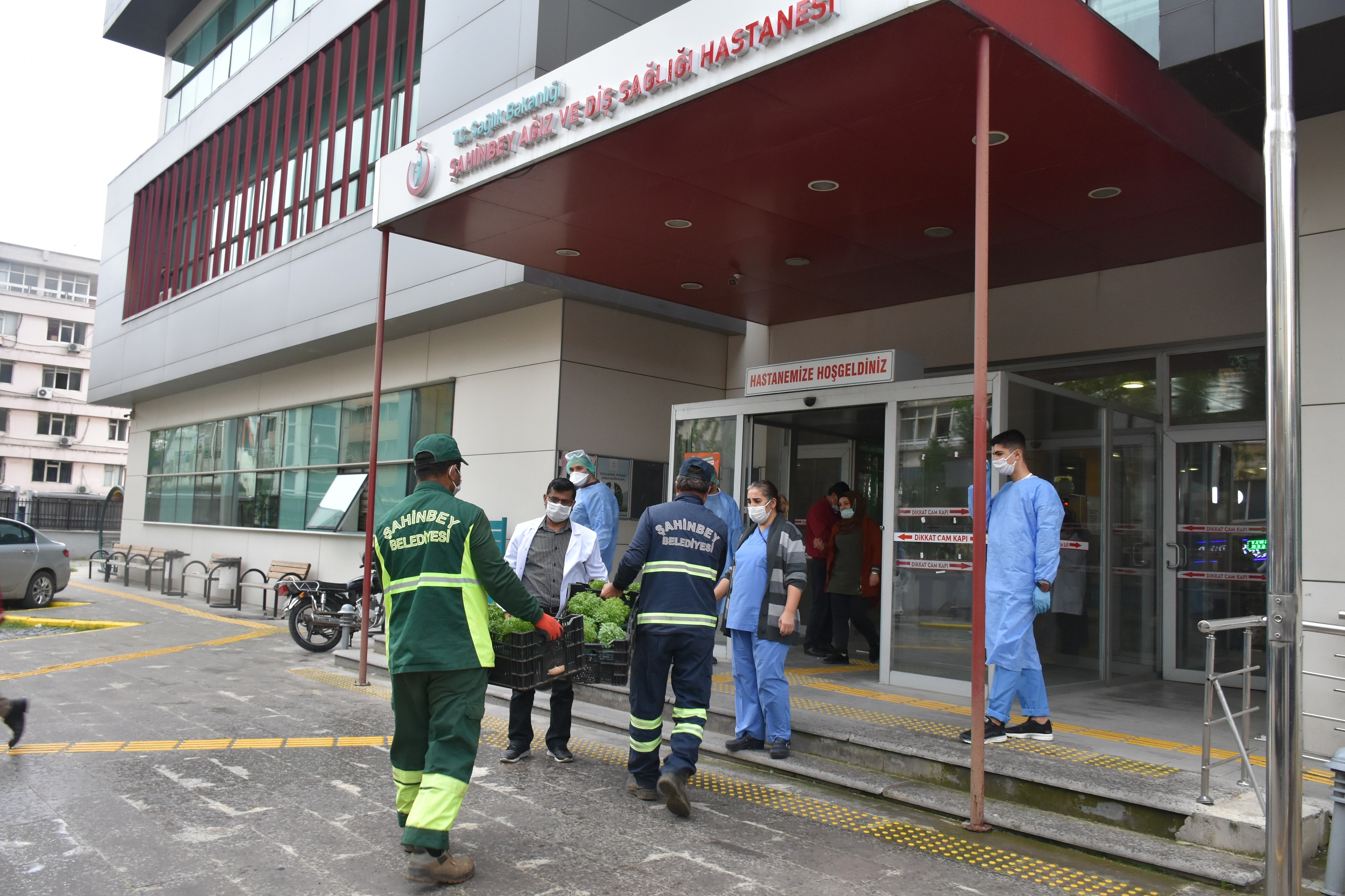 Belediyemiz Vatandalara Reyhan iei Hediye Etti