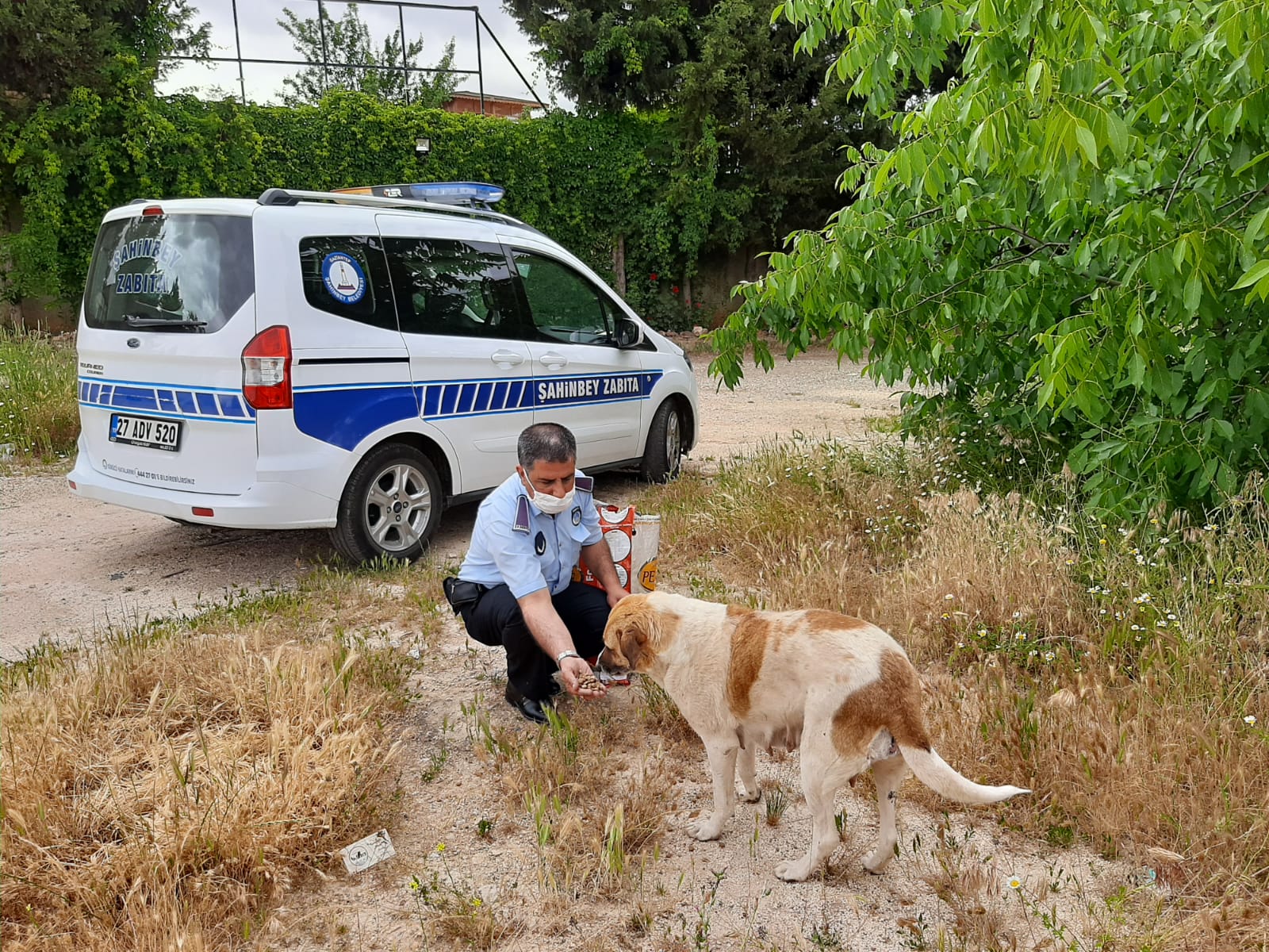 Belediyemiz Sokağa Çıkma Yasağında Sokak Hayvanlarını Beslemeye Devam Ediyor