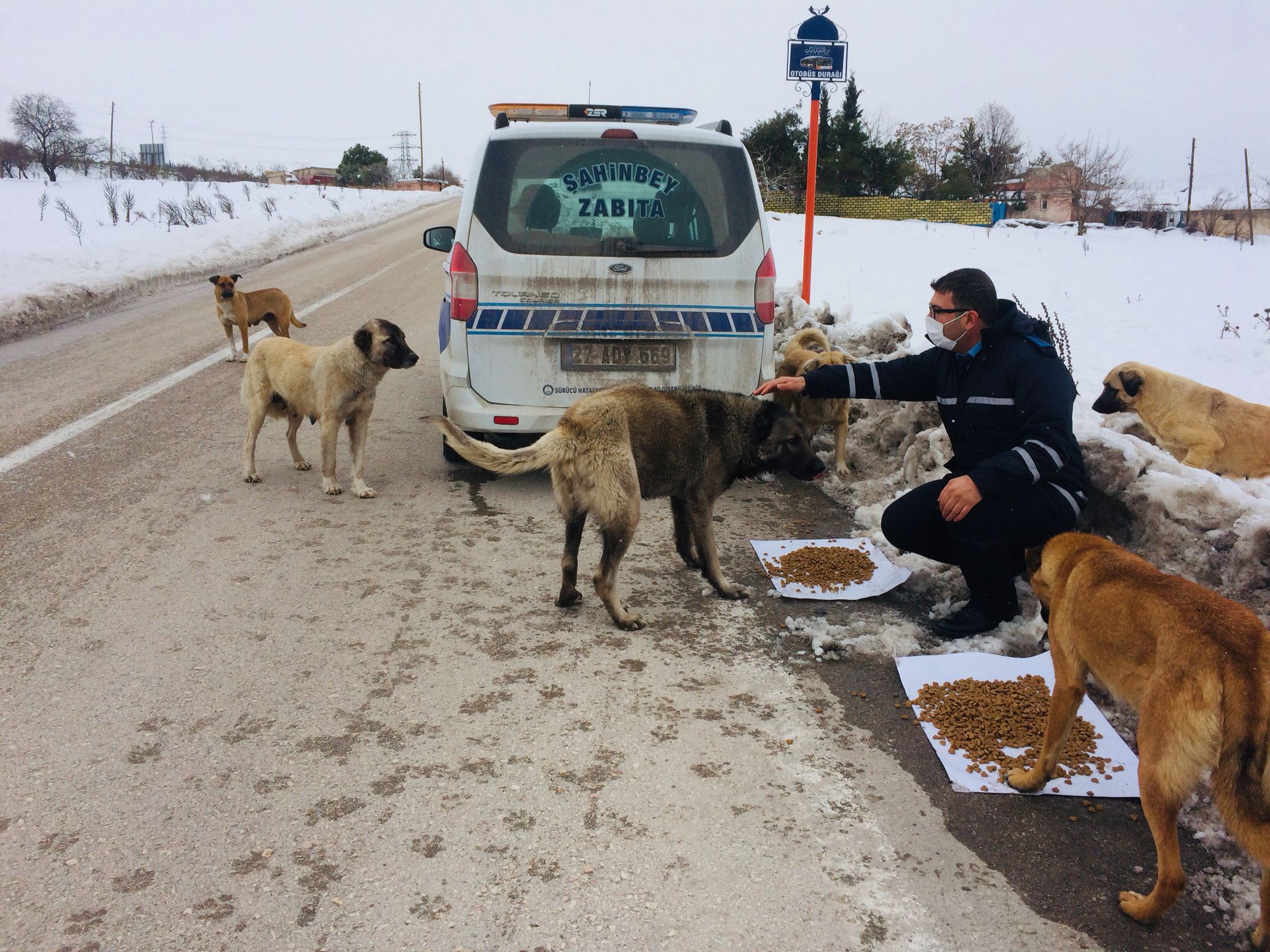 Belediyemiz Sokak Hayvanlarn Unutmad