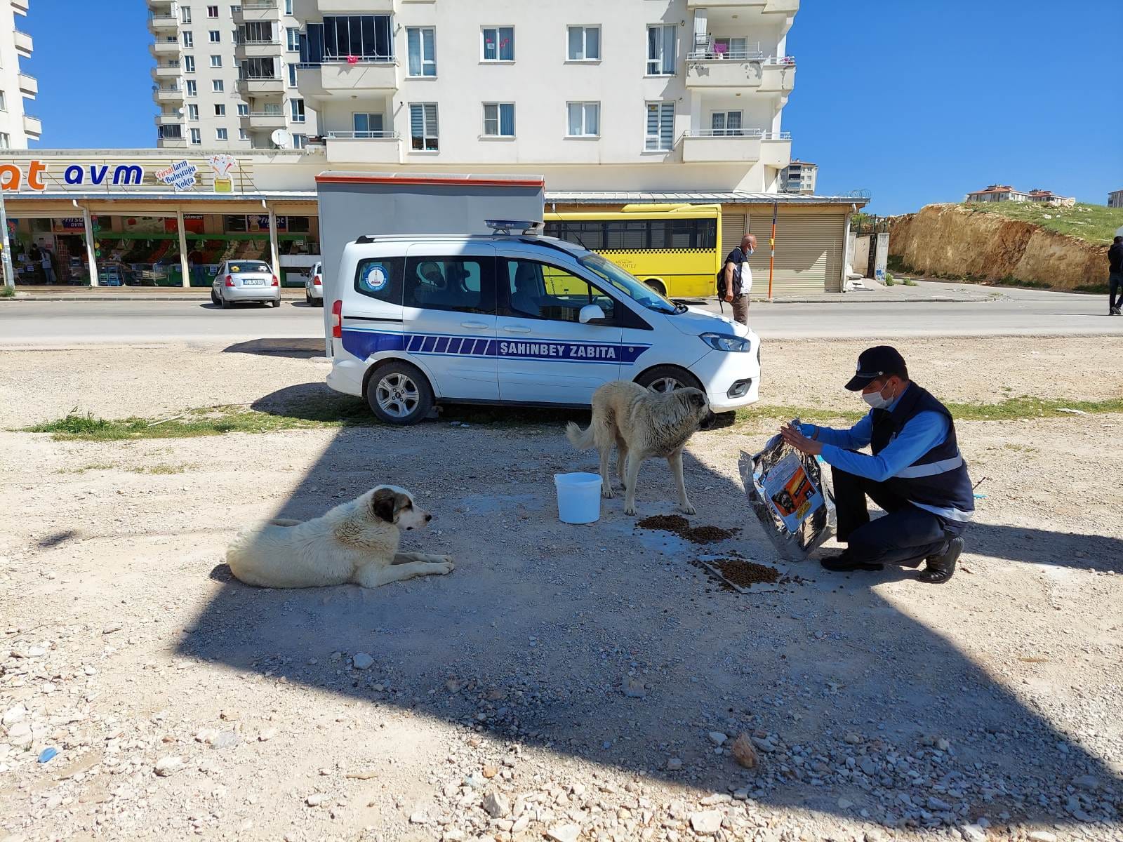 Belediyemiz Sokak Hayvanlarını Unutmuyor