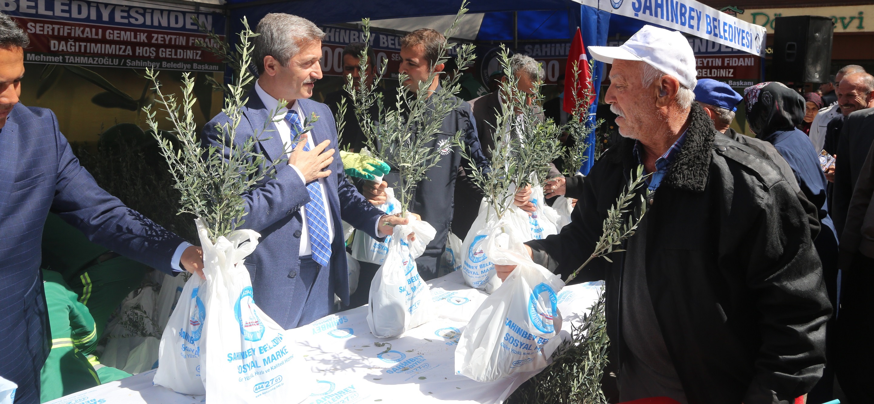 600.000 Adet Zeytin Fidan�n� Toprakla Bulu�turuyoruz