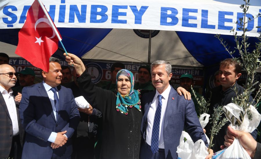 iftilerimize Zeytin, Fstk Fidan Destei