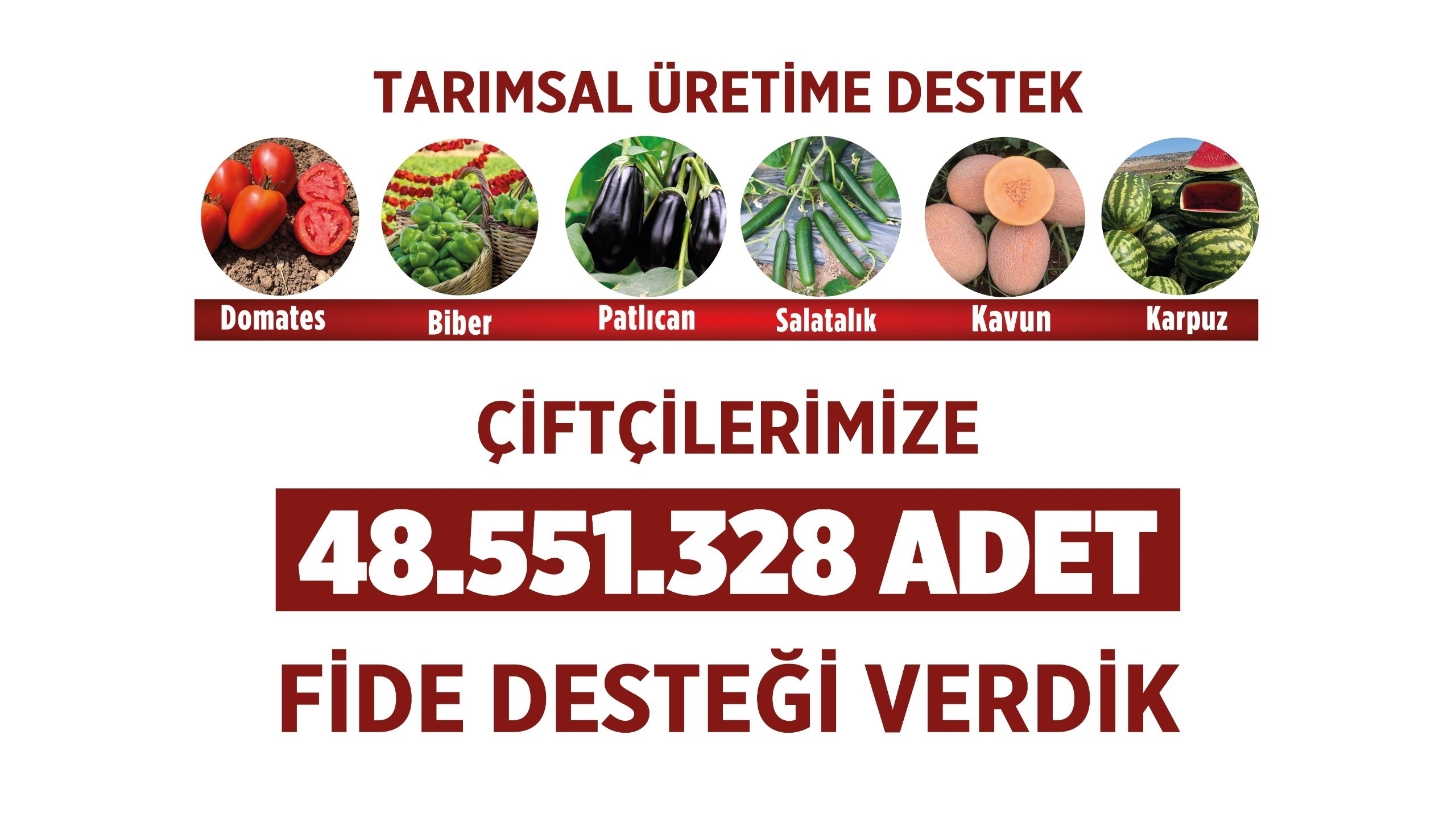 iftilerimize Sebze ve Meyve Fidesi Destei