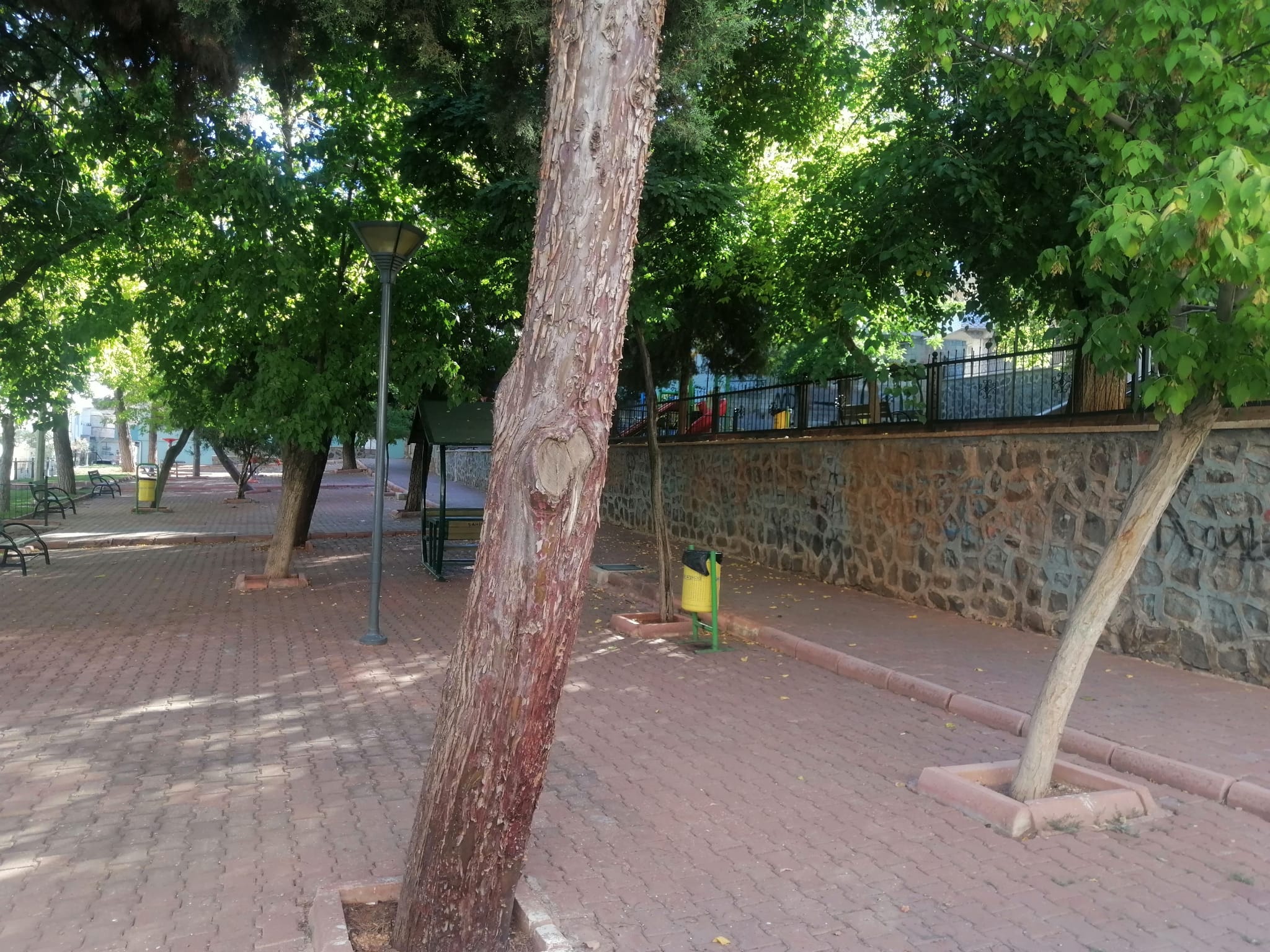 60. Yl 3 Nolu Park