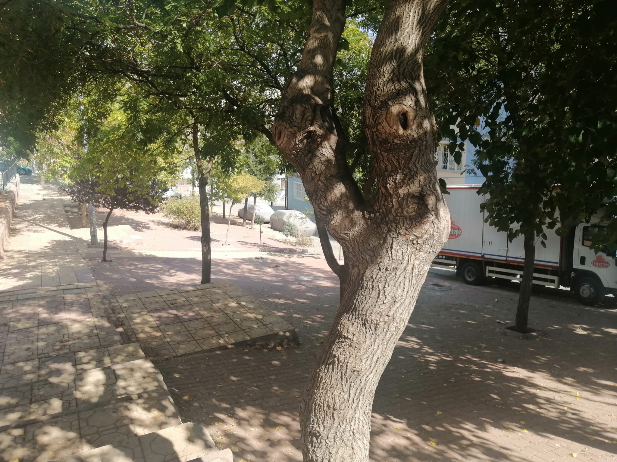 Beybahe Mahallesi 1 Nolu Park  